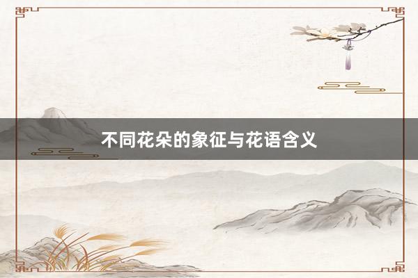 不同花朵的象征与花语含义