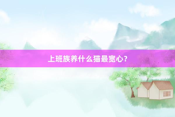 上班族养什么猫最宽心？